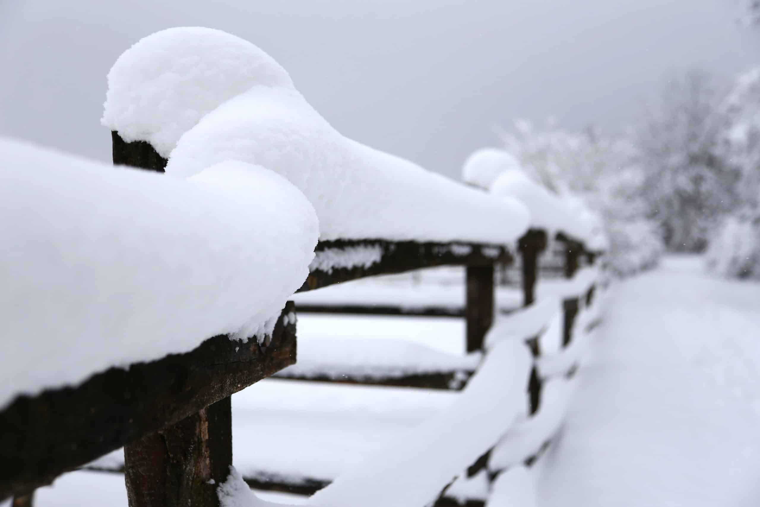 your fence in the snow