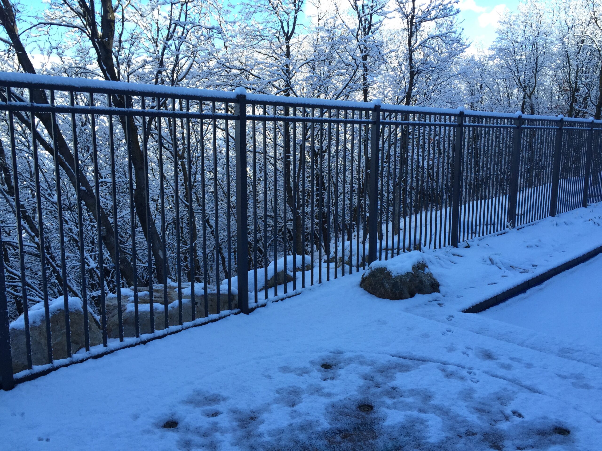 Bronco Fence- Fence in Snow